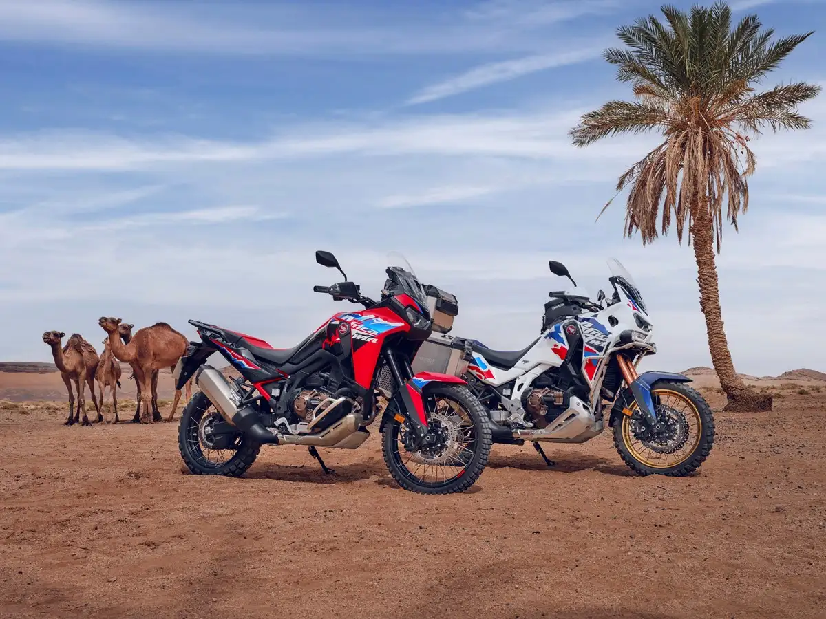 africa twin